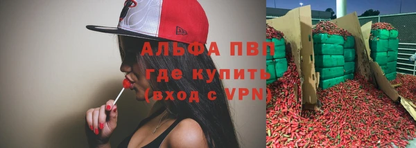 стаф Пестово