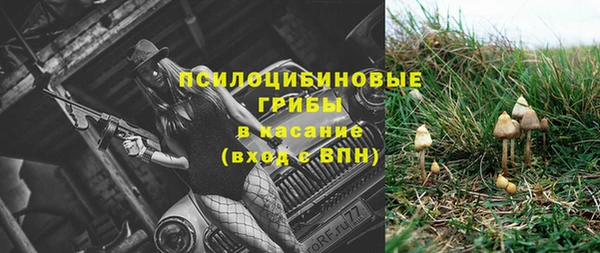 стаф Пестово
