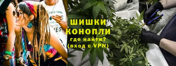 jwh Пересвет