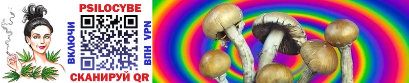 Галлюциногенные грибы Cubensis  blacksprut ссылка  Губкинский 