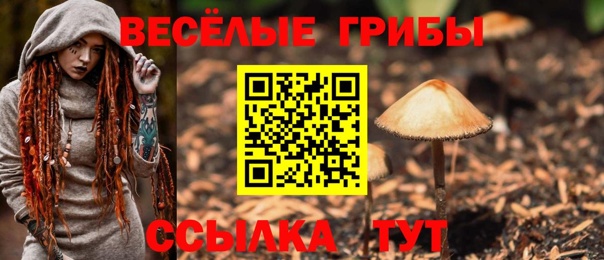 Галлюциногенные грибы GOLDEN TEACHER Губкинский