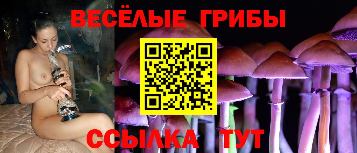 Губкинский  Галлюциногенные грибы ЛСД  Вход с VPN 