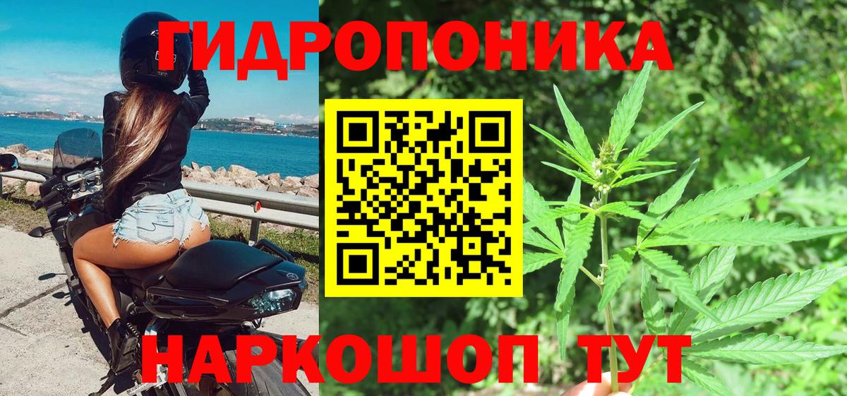 Шишки марихуана план  Бошки Шишки Bruce Banner  Губкинский  Марихуана AK-47 